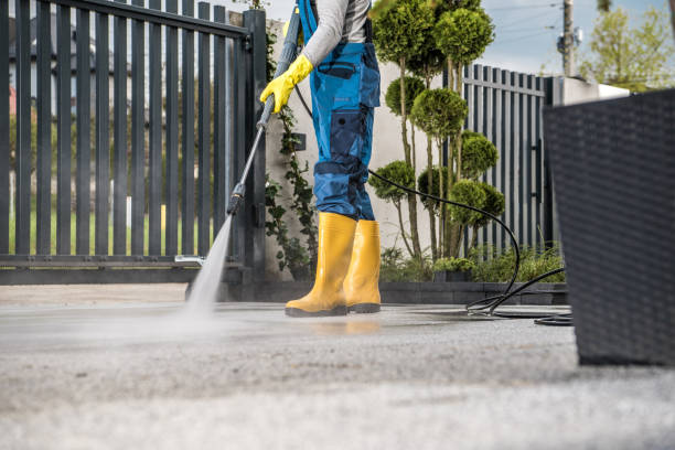 Best Gutter Cleaning  in Blue Ridge, VA