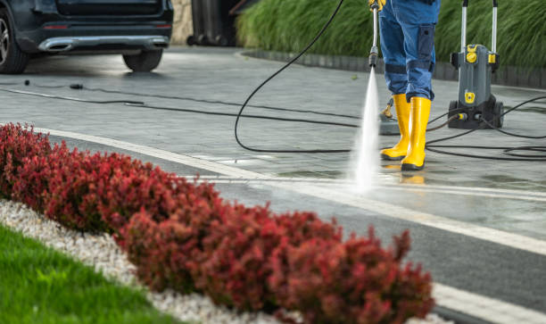 Best Dumpster Area Cleaning  in Blue Ridge, VA