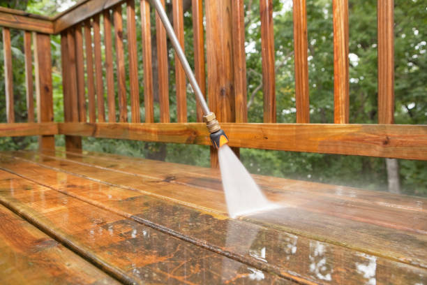 Best Driveway Pressure Washing  in Blue Ridge, VA